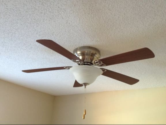 Lighted Ceiling Fans at The Edge of Germantown, Memphis
