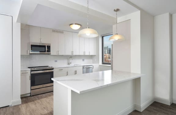 chef's kitchen with breakfast bar | River North Park Apartments in Chicago, IL