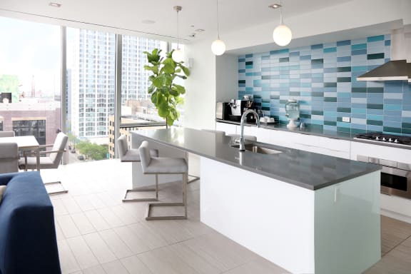 Kitchen And Living Area at Viridian on Sheridan, Chicago, IL, 60613
