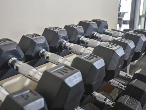 Free Weights at the Fitness Center