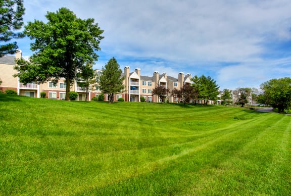 Community Grounds