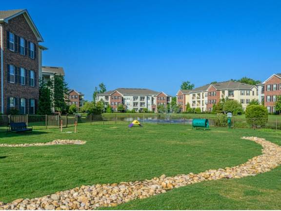 Free Bark Park at Tapestry Park, Chesapeake, VA, 23320