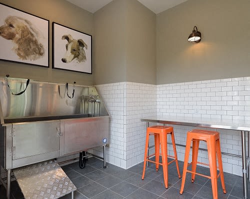 Luxurious Dog Spa & Wiggly Field at Echo at North Pointe Center Apartment Homes, Alpharetta, GA 30009