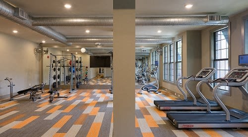 Fitness Center with Cardio, CrossFit & Yoga Components at Echo at North Pointe Center Apartment Homes, Alpharetta, GA 30009