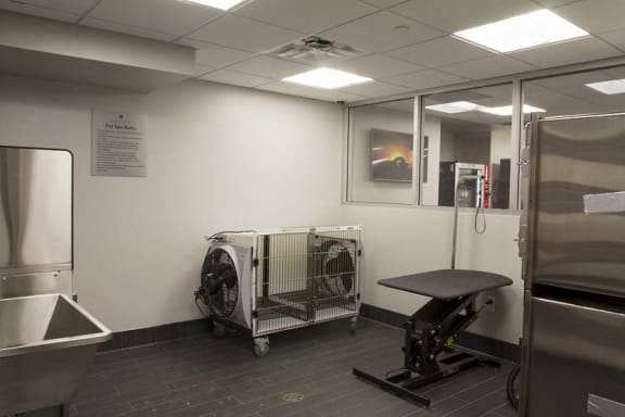 Pet Spa at Churchill, Minneapolis, 55401