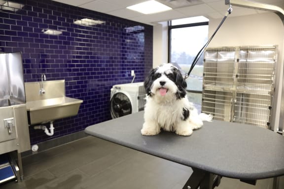 Animal Care Center at Durham, Edina