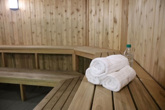 Sauna Room at Durham, Minnesota
