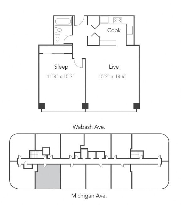 1 bed 1 bath A at Park Michigan Apartments, Chicago, 60605