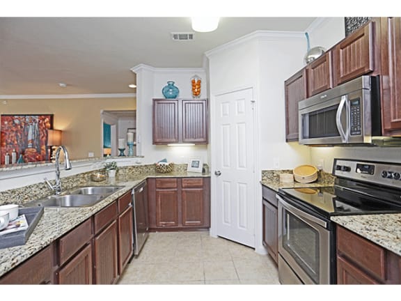 Kitchen Appliances at Orion McKinney, McKinney, TX