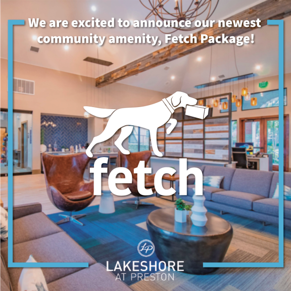 Welcome Fetch at Lakeshore at Preston, Plano, TX