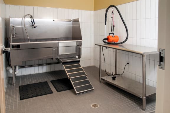 Pet Washing Station at Terra Pointe