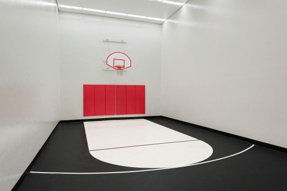Full Outdoor Basketball Court at The Tarnhill, Bloomington