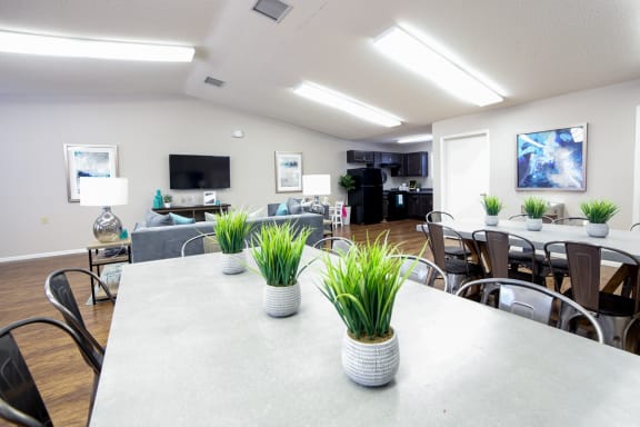 community table with plants in clubhouse