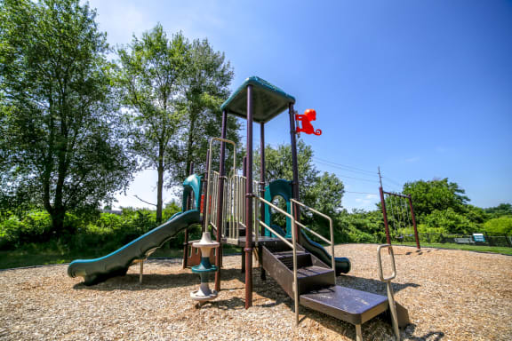Playground and trees in park