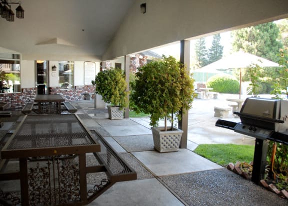 BBQ Grilling Stations and Picnic Tables at Scottsmen Apartments, Clovis