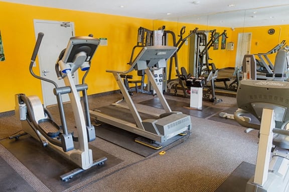 Cardio Machines at Wayzata Woods Apartments, Wayzata
