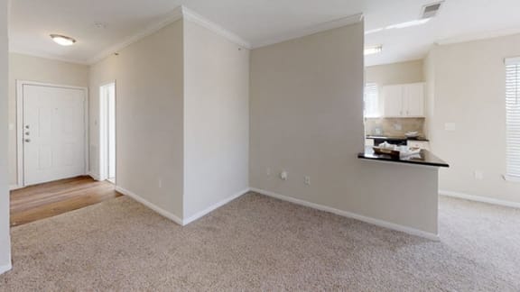 Carpeted Living Area at Wind Dance, Carrollton