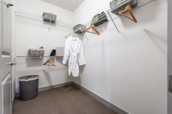 Spacious Bedroom Closets at Retreat at Ironhorse, Franklin, Tennessee