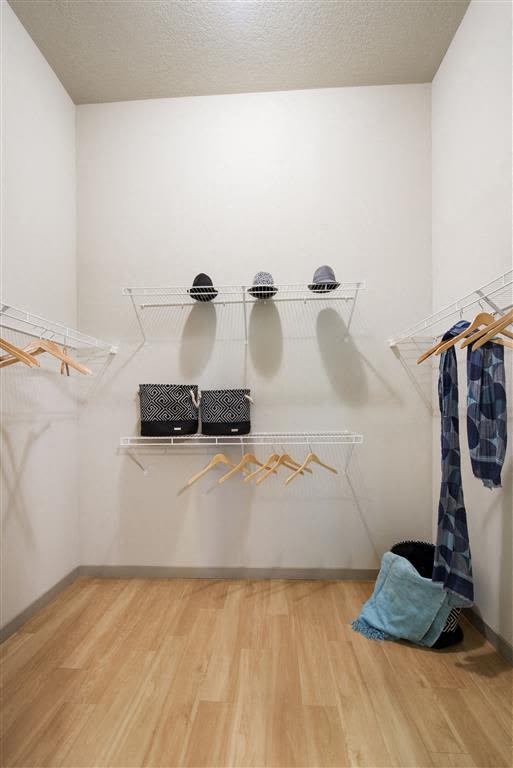 Closet at Azul Baldwin Park, Orlando, FL, 32814