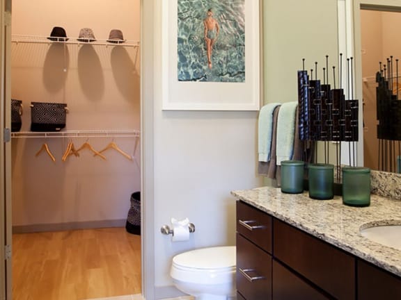 Comfortable Bedroom With Accessible Closet at Azul Baldwin Park, Orlando, 32814