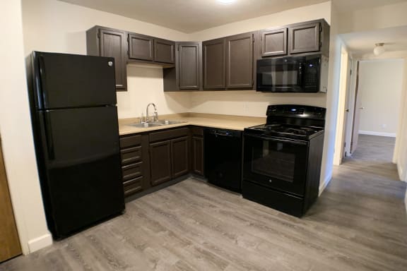 Black appliances and black cabinetsat Quail Meadow Apartments, Cincinnati, 45240