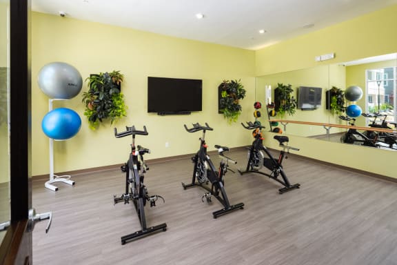 Private Yoga and Ballet Barre Studio at The Flats at Ballantyne Apartments, North Carolina, 28277