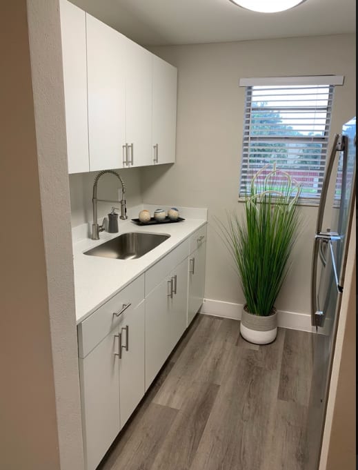 a kitchen with white cabinets and a plant in the corner