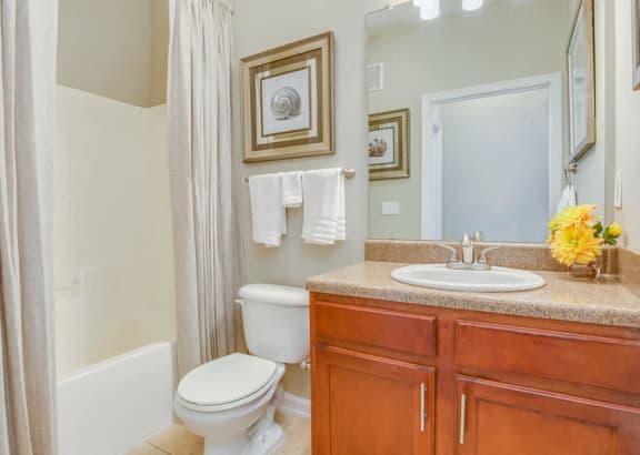 Luxurious Bathroom at Reserve Bartram Springs, Jacksonville, FL, 32258