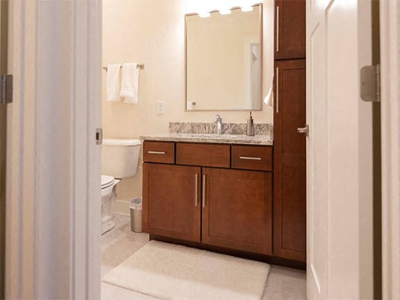 Modern Bathroom Accessories at Cedar Place Apartments, Cedarburg, 53012