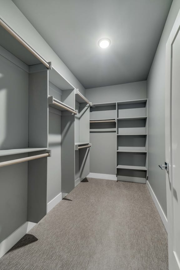 A room with grey walls and a carpeted floor with a white door on the right.