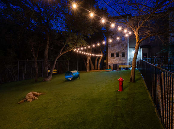 dog run at night at Nalle Woods of Westlake, Austin, TX, 78746