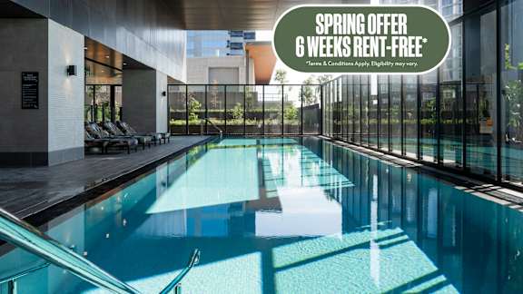 Spring offer