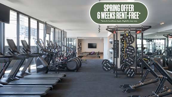 Spring offer