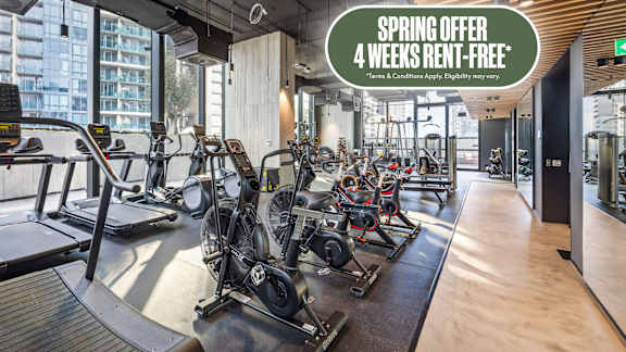 Spring offer