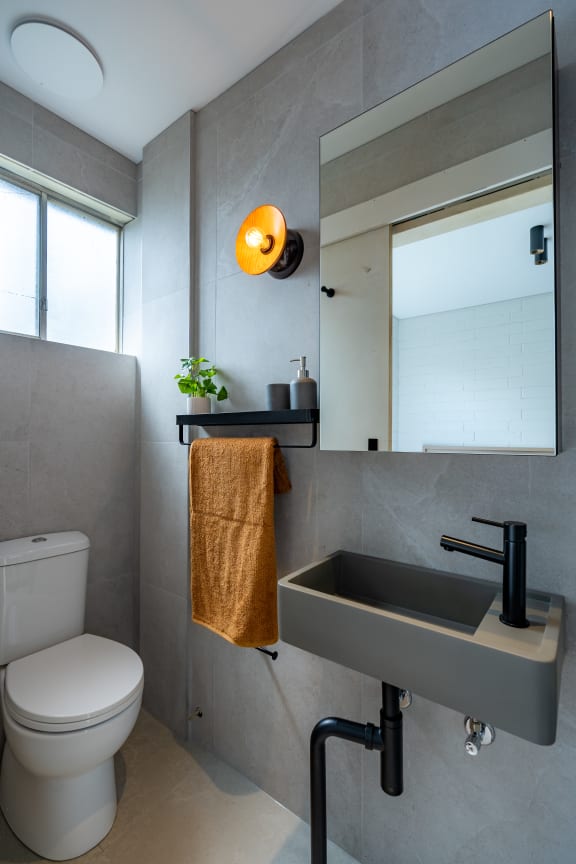 a bathroom with a sink and a toilet and a mirror