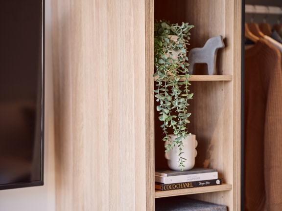 a bookshelf with a plant and books on it