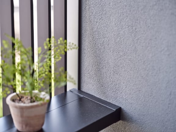 a potted plant sitting on a black window sill