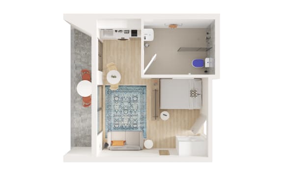 a floor plan of a small apartment with a bathroom and a rug