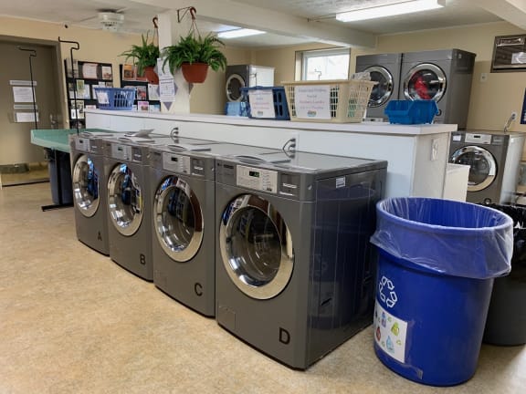 Laundry room with blue laundry bag