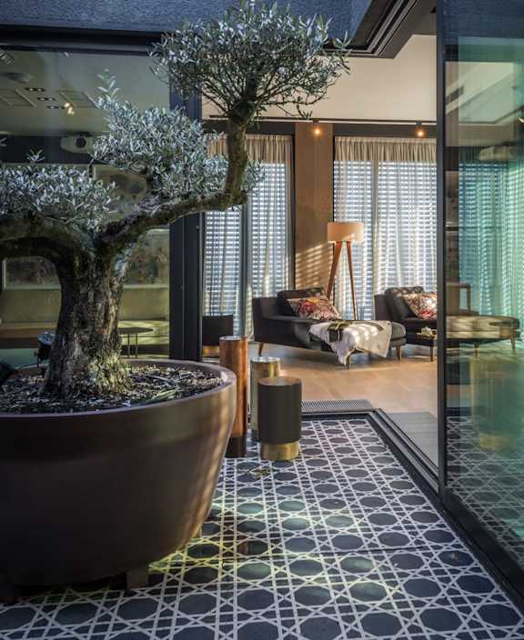 A bonsai tree in a large pot sits on a tiled floor in a modern living room.