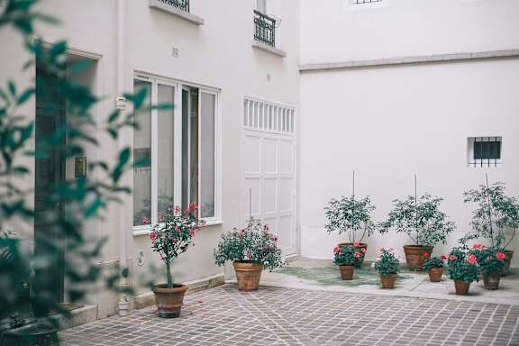 A white building with a white door and windows with flower pots in front.