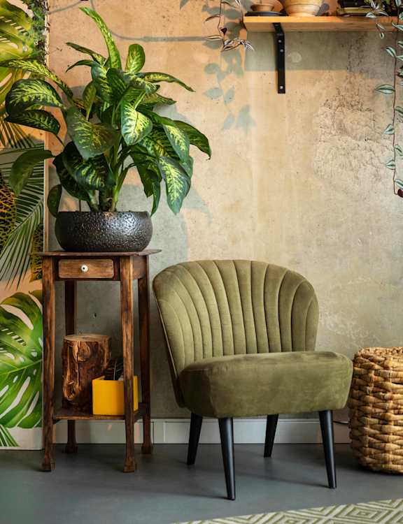 A green chair sits in front of a plant and a wooden stand.