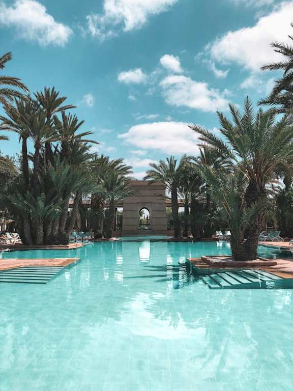 A pool surrounded by palm trees under a blue sky.