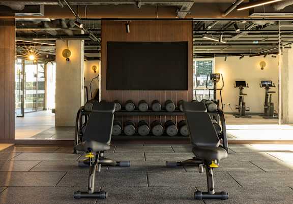 A gym with a row of dumbbells and a bench in front of a television.