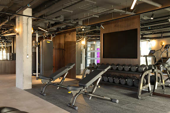 A gym with a variety of equipment including a bench press, a leg press, and a squat rack.