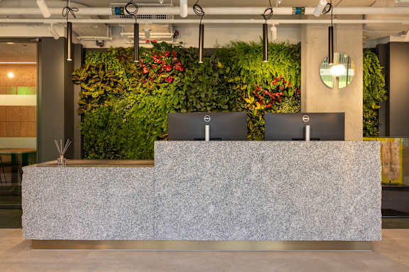 A reception desk with a green plant wall behind it.