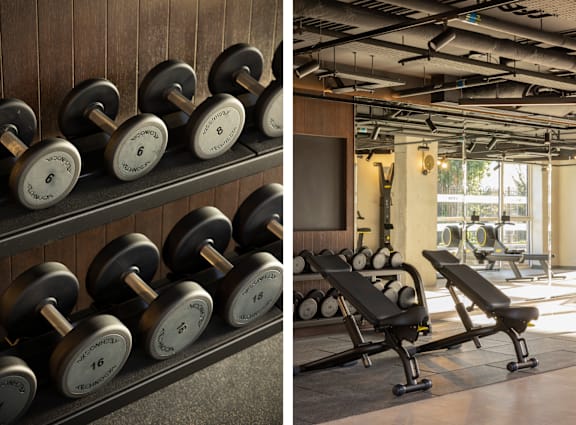 A gym with dumbbells and benches.