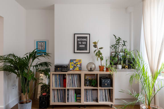 a living room with a book shelf with books and plants