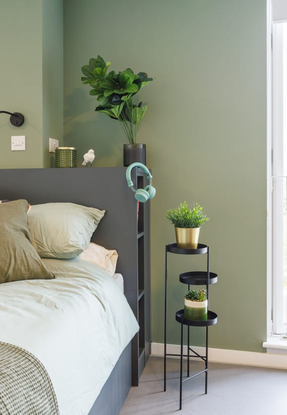 Floor Plan  a bedroom with a bed and a green wall with a plant on top of it