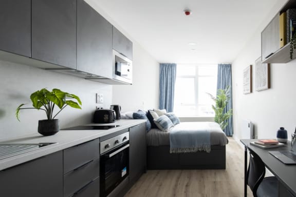 Floor Plan  Studio at Boutique Swansea in Swansea
